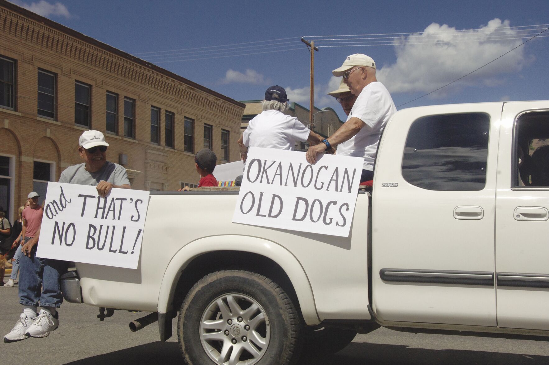 Old dogs